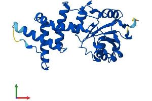 AlphaFold protein structure predicition of Human Recombinant ENOPH1 Protein, UniprotID Q9UHY7