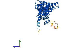 AlphaFold protein structure predicition of Mouse Recombinant Aip Protein, UniprotID O08915