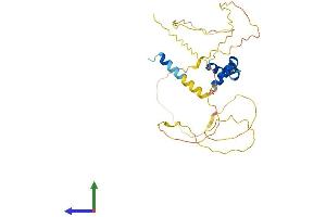 AlphaFold protein structure predicition of Human Recombinant VGLL4 Protein, UniprotID Q14135