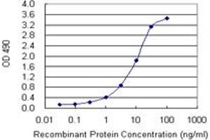 Sandwich ELISA detection sensitivity ranging from 0. (KIT (Humain) Matched Antibody Pair)
