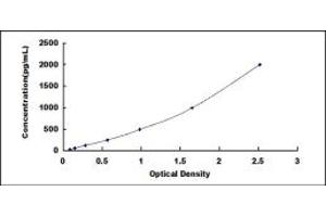 Typical standard curve (CER1 Kit ELISA)