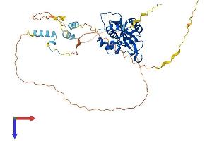 AlphaFold protein structure predicition of Human Recombinant REXO4 Protein, UniprotID Q9GZR2