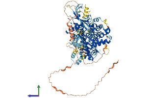 AlphaFold protein structure predicition of Mouse Recombinant Pde8a Protein, UniprotID O88502