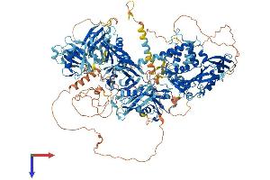 AlphaFold protein structure predicition of Human Recombinant USP47 Protein, UniprotID Q96K76