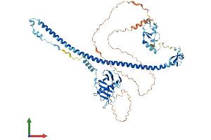 AlphaFold protein structure predicition of Mouse Recombinant Trim41 Protein, UniprotID Q5NCC3