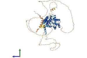 AlphaFold protein structure predicition of Human Recombinant CACNB2 Protein, UniprotID Q08289