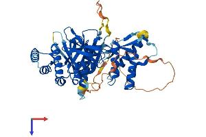 AlphaFold protein structure predicition of Mouse Recombinant Snx17 Protein, UniprotID Q8BVL3