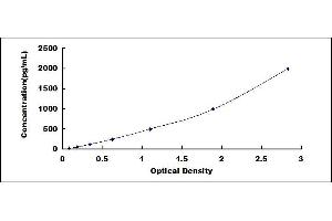Typical standard curve (KISS1 Kit ELISA)