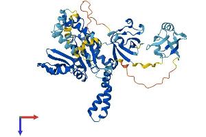 AlphaFold protein structure predicition of Human Recombinant PALS2 Protein, UniprotID Q9NZW5