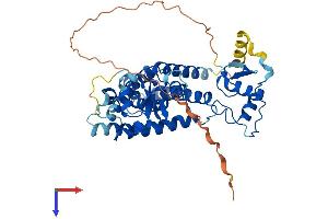 AlphaFold protein structure predicition of Mouse Recombinant Ppard Protein, UniprotID P35396
