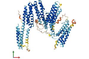 AlphaFold protein structure predicition of Human Recombinant CTNNA3 Protein, UniprotID Q9UI47