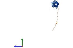 AlphaFold protein structure predicition of Mouse Recombinant Tekt2 Protein, UniprotID Q922G7