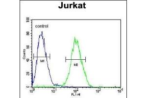 RPS3A Antibody (C-term) (ABIN651720 and ABIN2840374) flow cytometric analysis of Jurkat cells (right histogram) compared to a negative control cell (left histogram). (RPS3A anticorps  (C-Term))