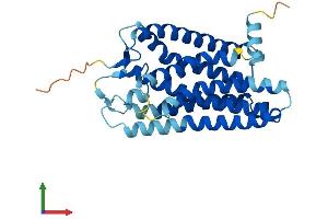 AlphaFold protein structure predicition of Human Recombinant OR2J2 Protein, UniprotID O76002