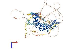 AlphaFold protein structure predicition of Mouse Recombinant Espn Protein, UniprotID Q9ET47