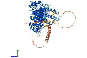 AlphaFold protein structure predicition of Mouse Recombinant Fbxo33 Protein, UniprotID Q8VE08
