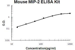Mouse MIP-2 Accusignal ELISA Kit Mouse MIP-2 AccuSignal ELISA Kit standard curve. (CXCL2 Kit ELISA)