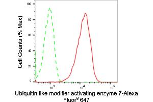 Flow cytometric analysis of Ubiquitin like modifier activating enzyme 7 expression in HepG2 cells using Ubiquitin like modifier activating enzyme 7 antibody (ABIN7800759), 1:2,000). (Recombinant UBA7 anticorps)