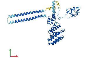 AlphaFold protein structure predicition of Human Recombinant RMND5B Protein, UniprotID Q96G75
