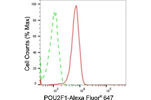 Flow cytometric analysis of POU2F1 expression in Hela cells using POU2F1 antibody (ABIN7799889), 1:2,000).