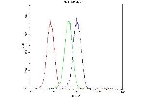 Flow Cytometry analysis of L6 cells using anti-Osteocalcin antibody (ABIN4886487).