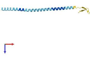 AlphaFold protein structure predicition of Human Recombinant CXorf1 Protein, UniprotID O96002