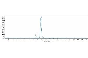 The purity of Anti-Siglec-15 / CD33L3 Reference Antibody (NC318) is 98. (Recombinant SIGLEC15 anticorps)