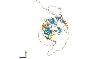 AlphaFold protein structure predicition of Human Recombinant ZSCAN32 Protein, UniprotID Q9NX65