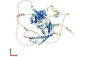 AlphaFold protein structure predicition of Mouse Recombinant Ddx24 Protein, UniprotID Q9ESV0