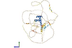 AlphaFold protein structure predicition of Human Recombinant HLX Protein, UniprotID Q14774