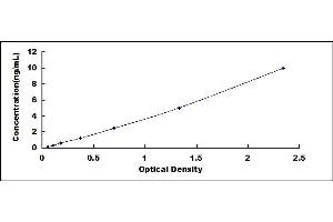 Typical standard curve (TIMM8A/DDP Kit ELISA)