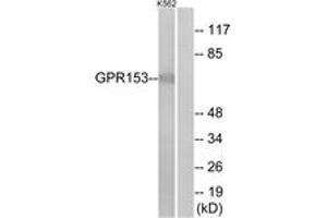 Western Blotting (WB) image for anti-G Protein-Coupled Receptor 153 (GPR153) (AA 195-244) antibody (ABIN2890794) (GPR153 anticorps  (AA 195-244))