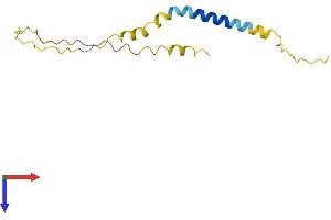 AlphaFold protein structure predicition of Mouse Recombinant Bex2 Protein, UniprotID Q9WTZ8