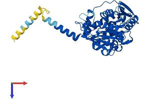 AlphaFold protein structure predicition of Human Recombinant ABHD3 Protein, UniprotID Q8WU67