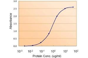 AP20111PU-N PAX4 antibody (1. (PAX4 anticorps  (Internal Region))