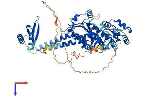AlphaFold protein structure predicition of Mouse Recombinant Parn Protein, UniprotID Q8VDG3