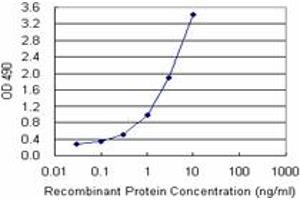 Sandwich ELISA detection sensitivity ranging from 0. (CRYGD (Humain) Matched Antibody Pair)
