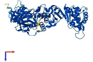 AlphaFold protein structure predicition of Mouse Recombinant Naprt Protein, UniprotID Q8CC86