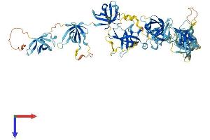 AlphaFold protein structure predicition of Human Recombinant CSDE1 Protein, UniprotID O75534