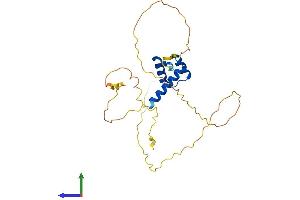 AlphaFold protein structure predicition of Human Recombinant DLX1 Protein, UniprotID P56177