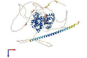 AlphaFold protein structure predicition of Mouse Recombinant Tbc1d10b Protein, UniprotID Q8BHL3