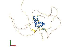 AlphaFold protein structure predicition of Human Recombinant LEF1 Protein, UniprotID Q9UJU2