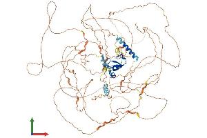 AlphaFold protein structure predicition of Human Recombinant RNF111 Protein, UniprotID Q6ZNA4
