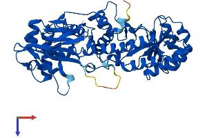 Nicotinamide phosphoribosyltransferase (NAMPT) (AA 1-491) protein (His tag)