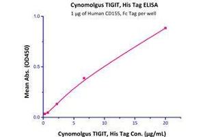 Immobilized Human CD155, Fc Tag (Cat# CD5-H5251) at 10 μg/mL (100 μl/well) can bind Cynomolgus TIGIT, Fc Tag (Cat# TIT-C5223) with a linear range of 0.