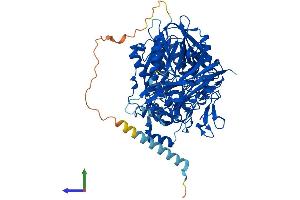 AlphaFold protein structure predicition of Mouse Recombinant Asah2 Protein, UniprotID Q9JHE3