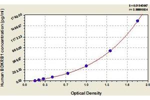 Typical Standard Curve (BDKRB1 Kit ELISA)