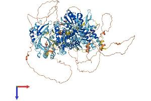 AlphaFold protein structure predicition of Human Recombinant SBNO1 Protein, UniprotID A3KN83