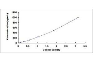 Insulin-Like Growth Factor Binding Protein 2, 36kDa (IGFBP2) ELISA Kit