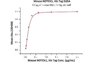 Immobilized Human DLL4, Fc Tag (ABIN2180974,ABIN2180973) at 5 μg/mL (100 μL/well) can bind Mouse NOTCH1, His Tag (ABIN6973183) with a linear range of 0.